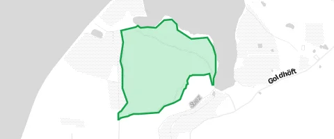 Gassi-Ort Nordschau-Wald in Wackerballig