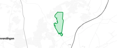 Gassi-Ort Oberhaverbecker Holz in Bispingen