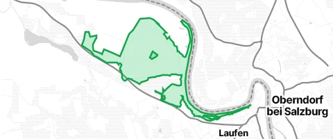 Gassi-Ort Osinger Wald in Laufen