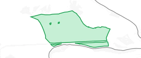 Gassi-Ort Partensteiner Forst in Lohrhaupten