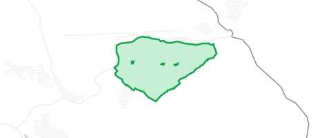 Gassi-Ort Partensteiner Forst in Lohrhaupten
