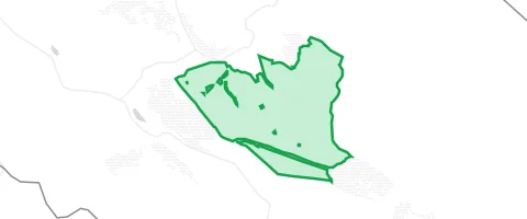 Gassi-Ort Partensteiner Forst in Lohrhaupten