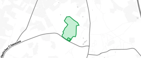 Gassi-Ort Pfingstwald in Hasloh