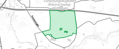 Gassi-Ort Querumer Forst in Braunschweig