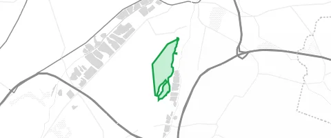 Gassi-Ort Radauer Holz in Goslar