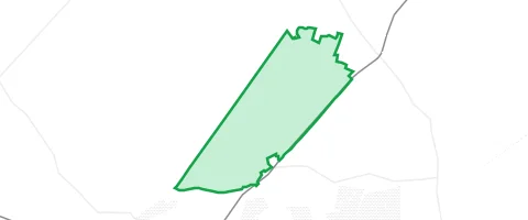 Gassi-Ort Rochauer Heide in Fichtwald