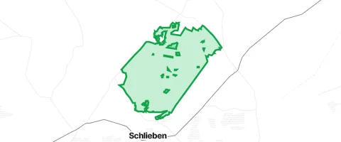 Gassi-Ort Rochauer Heide in Schlieben