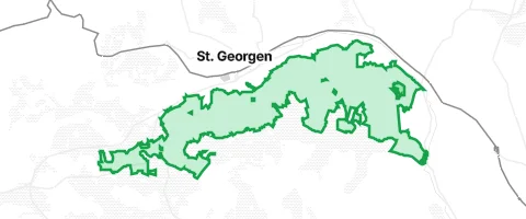 Gassi-Ort Röhlinswald in St. Georgen-Stadt