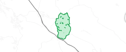 Gassi-Ort Rohrbrunner Forst in Rohrbrunner Forst