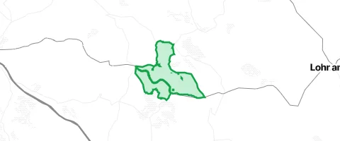 Gassi-Ort Rothenbucher Forst in Rothenbucher Forst