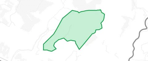 Gassi-Ort Sachsenhäuser Wald in Kestert