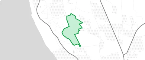 Gassi-Ort Schobüller Wald in Husum