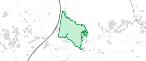 Gassi-Ort Schönhaider Wald in Wiesau