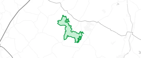 Gassi-Ort Steinhorster Forst in Siebenbäumen