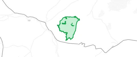 Gassi-Ort Steinwald in Neukirchen