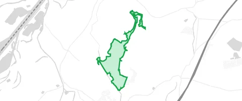 Gassi-Ort Striethwald in Scherzheim