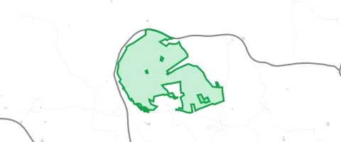 Gassi-Ort Tannenberg Waldfläche in Ahornberg