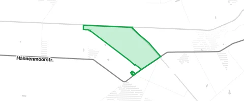 Gassi-Ort Tannenkamp in Hahnenmoor