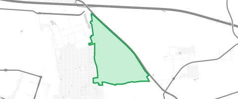 Gassi-Ort Tannenwald in Lucka