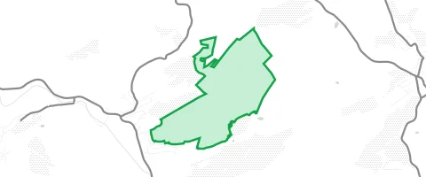 Gassi-Ort Tierwald in Olsbrücken