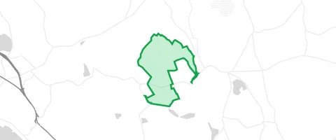 Gassi-Ort Tüfinger Wald in Salem