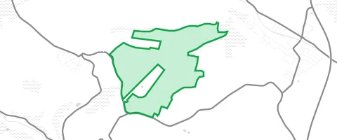 Gassi-Ort Waldhilbersheimer Wald in Windesheim