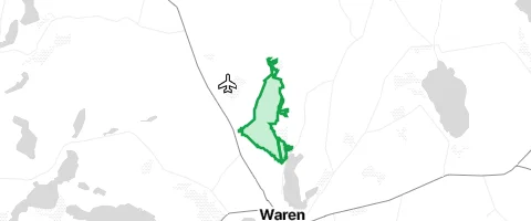 Gassi-Ort Warener Buchen in Vielist