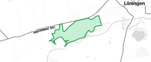 Gassi-Ort Werwer Fuhren in Löningen