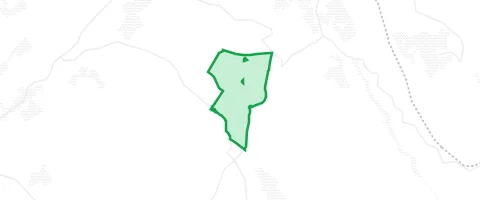 Gassi-Ort Wiesener Forst in Wiesener Forst