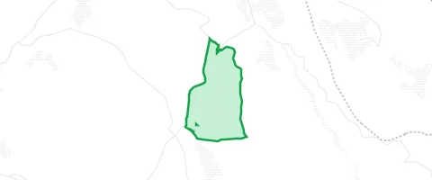 Gassi-Ort Wiesener Forst in Wiesener Forst