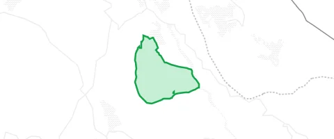 Gassi-Ort Wiesener Forst in Wiesen