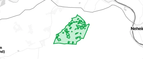 Gassi-Ort Wildwald in Arnsberg