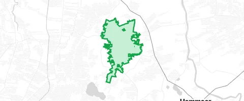 Gassi-Ort Wingster Wald in Brunsbüttel