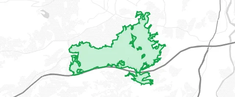 Gassi-Ort Wirlinger Wald in Buchenberg