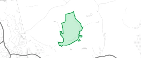 Gassi-Ort Zankholz in Creußen