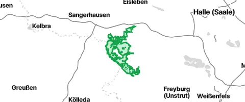 Gassi-Ort Ziegelrodaer Forst in Artern